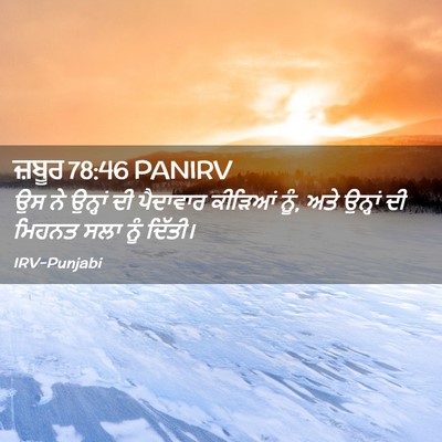 Picture 02 - ਜ਼ਬੂਰ 78:46 PANIRV - ਉਸ ਨੇ ਉਨ੍ਹਾਂ ਦੀ - Bible Verse Picture