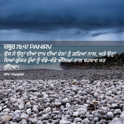 Picture 02 - ਜ਼ਬੂਰ 78:47 PANIRV - ਉਸ ਨੇ ਉਨ੍ਹਾਂ ਦੀਆਂ - Bible Verse Picture
