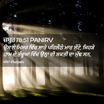 Picture 02 - ਜ਼ਬੂਰ 78:51 PANIRV - ਉਸ ਨੇ ਮਿਸਰ ਵਿੱਚ - Bible Verse Picture