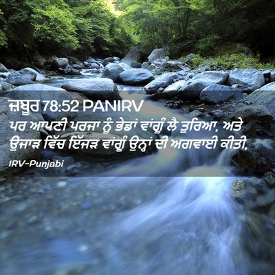 Picture 02 - ਜ਼ਬੂਰ 78:52 PANIRV - ਪਰ ਆਪਣੀ ਪਰਜਾ ਨੂੰ - Bible Verse Picture