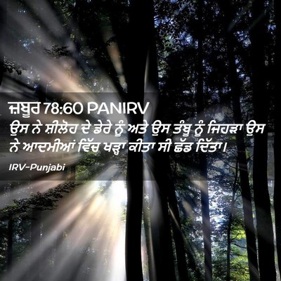 Picture 02 - ਜ਼ਬੂਰ 78:60 PANIRV - ਉਸ ਨੇ ਸ਼ੀਲੋਹ ਦੇ - Bible Verse Picture