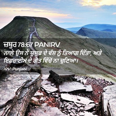 Picture 02 - ਜ਼ਬੂਰ 78:67 PANIRV - ਨਾਲੇ ਉਸ ਨੇ ਯੂਸੁਫ਼ - Bible Verse Picture