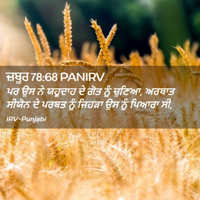 Picture 02 - ਜ਼ਬੂਰ 78:68 PANIRV - ਪਰ ਉਸ ਨੇ ਯਹੂਦਾਹ ਦੇ - Bible Verse Picture