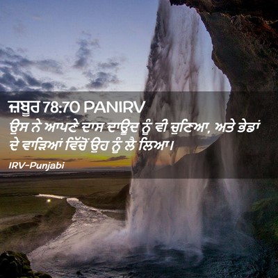 Picture 02 - ਜ਼ਬੂਰ 78:70 PANIRV - ਉਸ ਨੇ ਆਪਣੇ ਦਾਸ ਦਾਊਦ - Bible Verse Picture