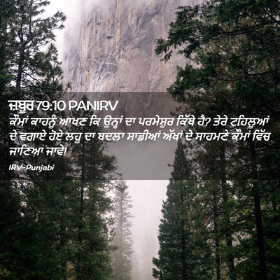 Picture 02 - ਜ਼ਬੂਰ 79:10 PANIRV - ਕੌਮਾਂ ਕਾਹਨੂੰ ਆਖਣ - Bible Verse Picture
