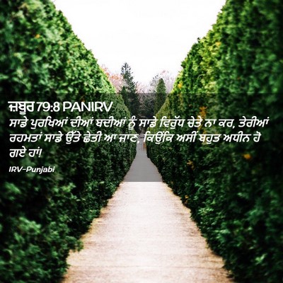 Picture 02 - ਜ਼ਬੂਰ 79:8 PANIRV - ਸਾਡੇ ਪੁਰਖਿਆਂ ਦੀਆਂ - Bible Verse Picture