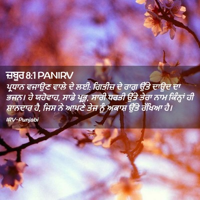 Picture 02 - ਜ਼ਬੂਰ 8:1 PANIRV - ਪ੍ਰਧਾਨ ਵਜਾਉਣ ਵਾਲੇ - Bible Verse Picture
