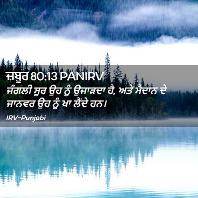 Picture 02 - ਜ਼ਬੂਰ 80:13 PANIRV - ਜੰਗਲੀ ਸੂਰ ਉਹ ਨੂੰ - Bible Verse Picture