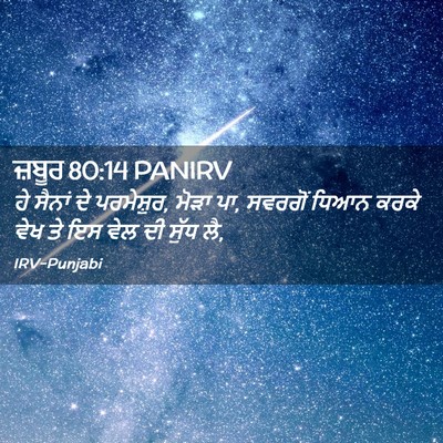 Picture 02 - ਜ਼ਬੂਰ 80:14 PANIRV - ਹੇ ਸੈਨਾਂ ਦੇ - Bible Verse Picture