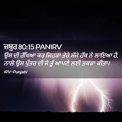 Picture 02 - ਜ਼ਬੂਰ 80:15 PANIRV - ਉਸ ਦੀ ਰੱਖਿਆ ਕਰ - Bible Verse Picture