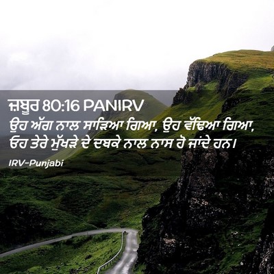 Picture 02 - ਜ਼ਬੂਰ 80:16 PANIRV - ਉਹ ਅੱਗ ਨਾਲ ਸਾੜਿਆ - Bible Verse Picture