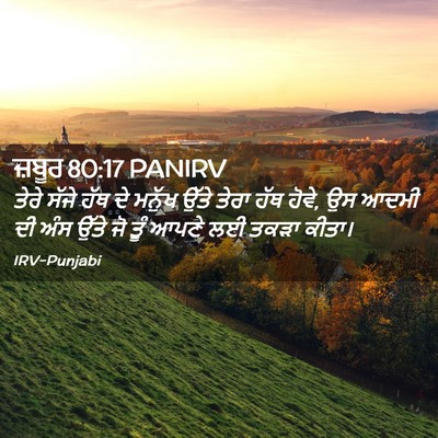 Picture 02 - ਜ਼ਬੂਰ 80:17 PANIRV - ਤੇਰੇ ਸੱਜੇ ਹੱਥ ਦੇ - Bible Verse Picture