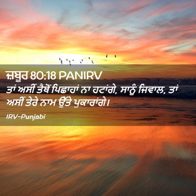 Picture 02 - ਜ਼ਬੂਰ 80:18 PANIRV - ਤਾਂ ਅਸੀਂ ਤੈਥੋਂ - Bible Verse Picture