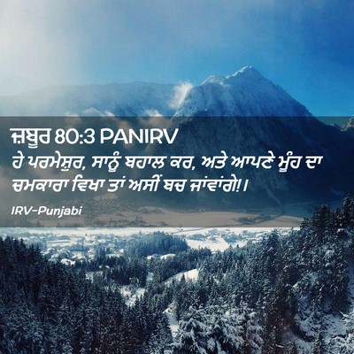 Picture 02 - ਜ਼ਬੂਰ 80:3 PANIRV - ਹੇ ਪਰਮੇਸ਼ੁਰ, ਸਾਨੂੰ - Bible Verse Picture