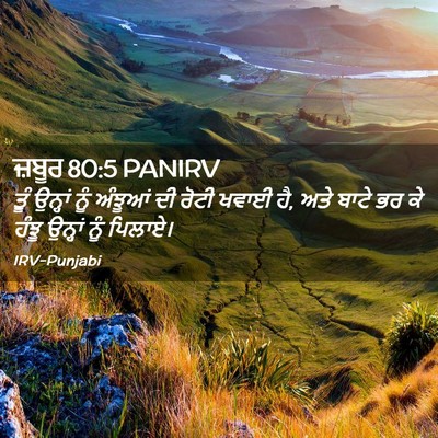 Picture 02 - ਜ਼ਬੂਰ 80:5 PANIRV - ਤੂੰ ਉਨ੍ਹਾਂ ਨੂੰ - Bible Verse Picture