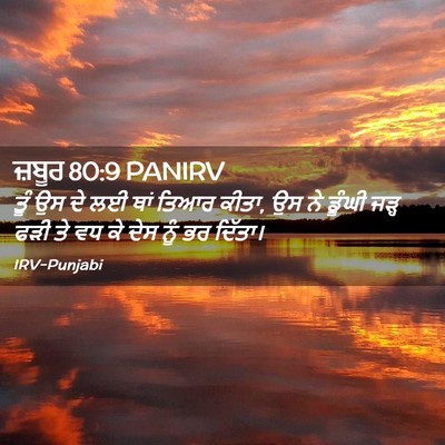 Picture 02 - ਜ਼ਬੂਰ 80:9 PANIRV - ਤੂੰ ਉਸ ਦੇ ਲਈ ਥਾਂ - Bible Verse Picture