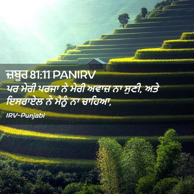 Picture 02 - ਜ਼ਬੂਰ 81:11 PANIRV - ਪਰ ਮੇਰੀ ਪਰਜਾ ਨੇ - Bible Verse Picture