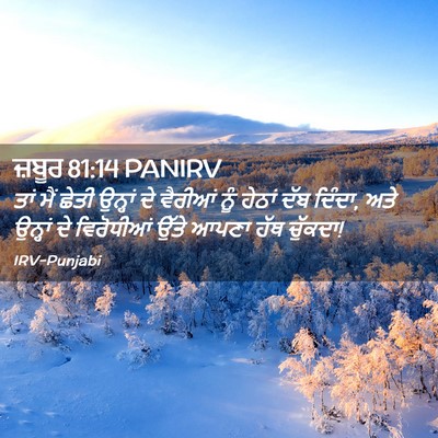 Picture 02 - ਜ਼ਬੂਰ 81:14 PANIRV - ਤਾਂ ਮੈਂ ਛੇਤੀ - Bible Verse Picture