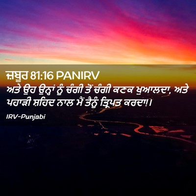 Picture 02 - ਜ਼ਬੂਰ 81:16 PANIRV - ਅਤੇ ਉਹ ਉਨ੍ਹਾਂ ਨੂੰ - Bible Verse Picture