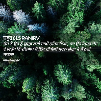 Picture 02 - ਜ਼ਬੂਰ 81:5 PANIRV - ਉਸ ਨੇ ਉਹ ਨੂੰ ਯੂਸੁਫ਼ - Bible Verse Picture