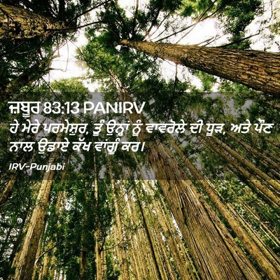 Picture 02 - ਜ਼ਬੂਰ 83:13 PANIRV - ਹੇ ਮੇਰੇ ਪਰਮੇਸ਼ੁਰ, - Bible Verse Picture