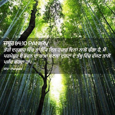 Picture 02 - ਜ਼ਬੂਰ 84:10 PANIRV - ਤੇਰੀ ਦਰਗਾਹ ਵਿੱਚ - Bible Verse Picture