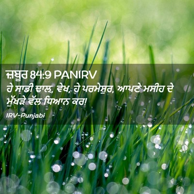 Picture 02 - ਜ਼ਬੂਰ 84:9 PANIRV - ਹੇ ਸਾਡੀ ਢਾਲ਼, ਵੇਖ, - Bible Verse Picture