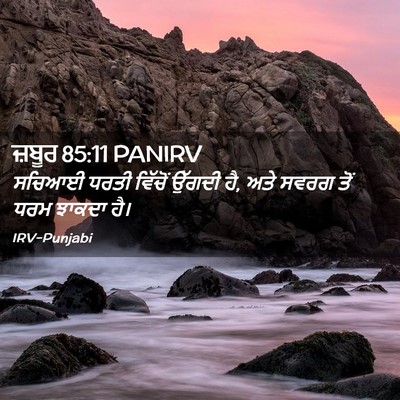 Picture 02 - ਜ਼ਬੂਰ 85:11 PANIRV - ਸਚਿਆਈ ਧਰਤੀ ਵਿੱਚੋਂ - Bible Verse Picture