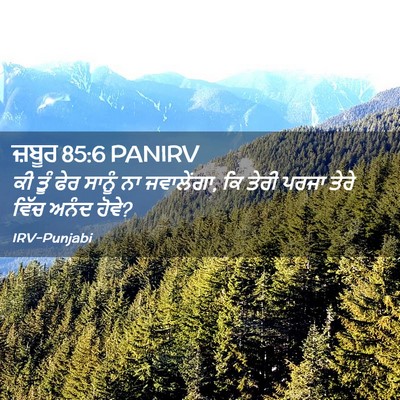 Picture 02 - ਜ਼ਬੂਰ 85:6 PANIRV - ਕੀ ਤੂੰ ਫੇਰ ਸਾਨੂੰ ਨਾ - Bible Verse Picture