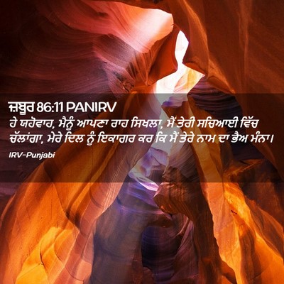 Picture 02 - ਜ਼ਬੂਰ 86:11 PANIRV - ਹੇ ਯਹੋਵਾਹ, ਮੈਨੂੰ - Bible Verse Picture