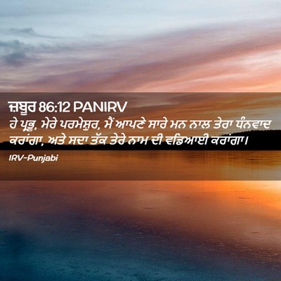 Picture 02 - ਜ਼ਬੂਰ 86:12 PANIRV - ਹੇ ਪ੍ਰਭੂ, ਮੇਰੇ - Bible Verse Picture