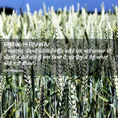 Picture 02 - ਜ਼ਬੂਰ 86:14 PANIRV - ਹੇ ਪਰਮੇਸ਼ੁਰ, - Bible Verse Picture