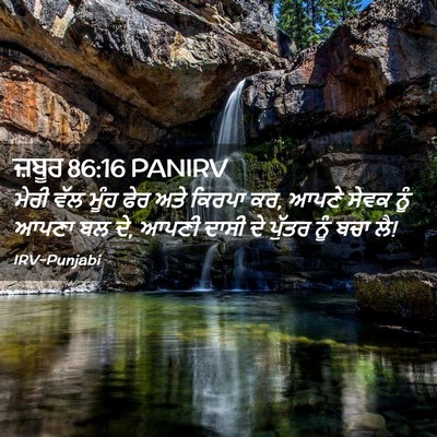 Picture 02 - ਜ਼ਬੂਰ 86:16 PANIRV - ਮੇਰੀ ਵੱਲ ਮੂੰਹ ਫੇਰ - Bible Verse Picture