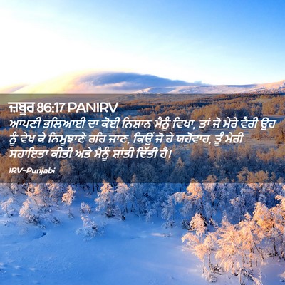 Picture 02 - ਜ਼ਬੂਰ 86:17 PANIRV - ਆਪਣੀ ਭਲਿਆਈ ਦਾ ਕੋਈ - Bible Verse Picture