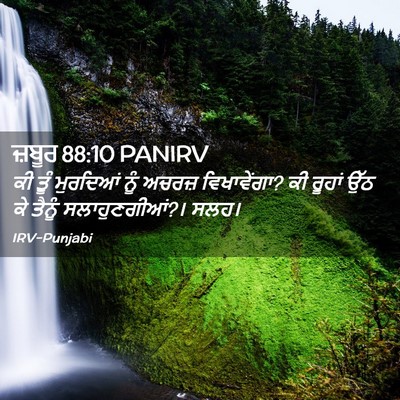 Picture 02 - ਜ਼ਬੂਰ 88:10 PANIRV - ਕੀ ਤੂੰ ਮੁਰਦਿਆਂ ਨੂੰ - Bible Verse Picture