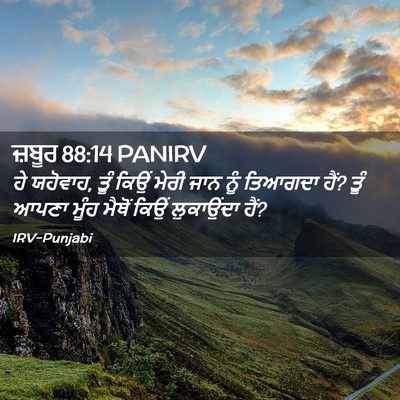 Picture 02 - ਜ਼ਬੂਰ 88:14 PANIRV - ਹੇ ਯਹੋਵਾਹ, ਤੂੰ ਕਿਉਂ - Bible Verse Picture