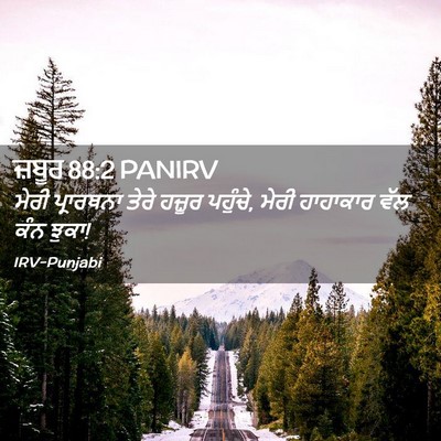 Picture 02 - ਜ਼ਬੂਰ 88:2 PANIRV - ਮੇਰੀ ਪ੍ਰਾਰਥਨਾ - Bible Verse Picture