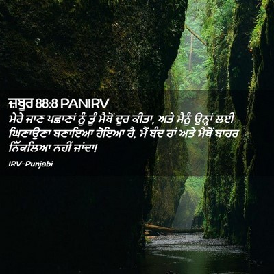 Picture 02 - ਜ਼ਬੂਰ 88:8 PANIRV - ਮੇਰੇ ਜਾਣ ਪਛਾਣਾਂ - Bible Verse Picture