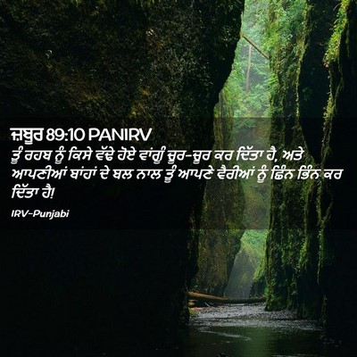 Picture 02 - ਜ਼ਬੂਰ 89:10 PANIRV - ਤੂੰ ਰਹਬ ਨੂੰ ਕਿਸੇ - Bible Verse Picture