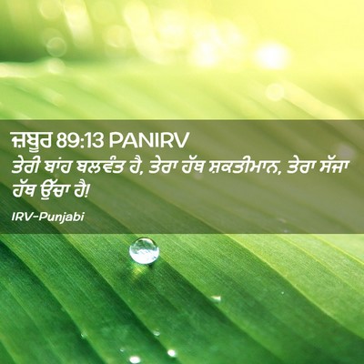 Picture 02 - ਜ਼ਬੂਰ 89:13 PANIRV - ਤੇਰੀ ਬਾਂਹ ਬਲਵੰਤ ਹੈ, - Bible Verse Picture
