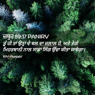Picture 02 - ਜ਼ਬੂਰ 89:17 PANIRV - ਤੂੰ ਹੀ ਤਾਂ ਉਨ੍ਹਾਂ - Bible Verse Picture