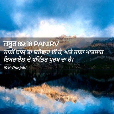 Picture 02 - ਜ਼ਬੂਰ 89:18 PANIRV - ਸਾਡੀ ਢਾਲ਼ ਤਾਂ - Bible Verse Picture
