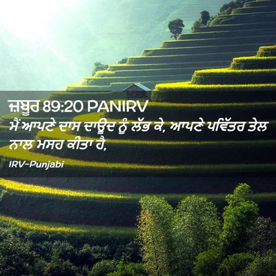 Picture 02 - ਜ਼ਬੂਰ 89:20 PANIRV - ਮੈਂ ਆਪਣੇ ਦਾਸ ਦਾਊਦ - Bible Verse Picture