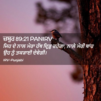 Picture 02 - ਜ਼ਬੂਰ 89:21 PANIRV - ਜਿਹ ਦੇ ਨਾਲ ਮੇਰਾ ਹੱਥ - Bible Verse Picture
