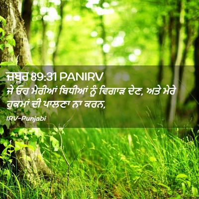 Picture 02 - ਜ਼ਬੂਰ 89:31 PANIRV - ਜੇ ਓਹ ਮੇਰੀਆਂ - Bible Verse Picture