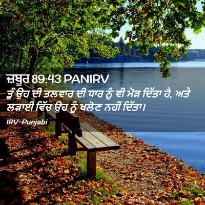 Picture 02 - ਜ਼ਬੂਰ 89:43 PANIRV - ਤੂੰ ਉਹ ਦੀ ਤਲਵਾਰ ਦੀ - Bible Verse Picture