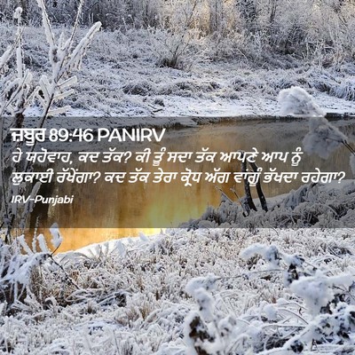Picture 02 - ਜ਼ਬੂਰ 89:46 PANIRV - ਹੇ ਯਹੋਵਾਹ, ਕਦ ਤੱਕ? - Bible Verse Picture