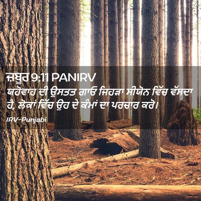 Picture 02 - ਜ਼ਬੂਰ 9:11 PANIRV - ਯਹੋਵਾਹ ਦੀ ਉਸਤਤ ਗਾਓ - Bible Verse Picture
