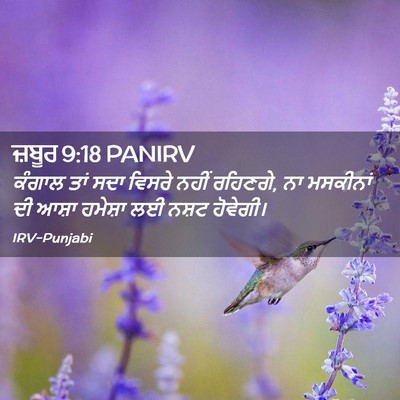 Picture 02 - ਜ਼ਬੂਰ 9:18 PANIRV - ਕੰਗਾਲ ਤਾਂ ਸਦਾ - Bible Verse Picture