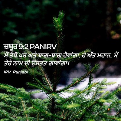 Picture 02 - ਜ਼ਬੂਰ 9:2 PANIRV - ਮੈਂ ਤੈਥੋਂ ਖੁਸ਼ ਅਤੇ - Bible Verse Picture
